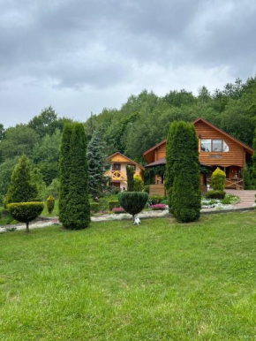 Карпатська Модрина